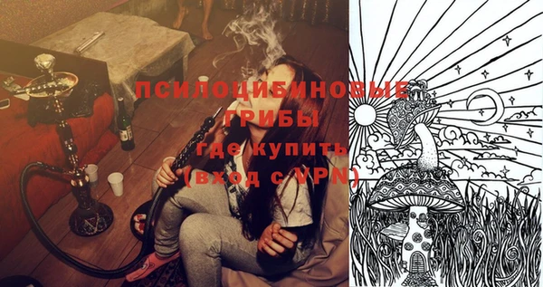 2c-b Костерёво